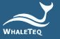 WhaleTeq Co., LTD的Logo
