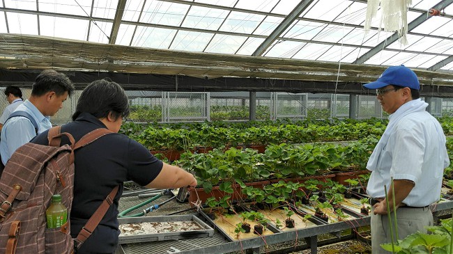 台日雙方企業討論智慧栽種技術合作