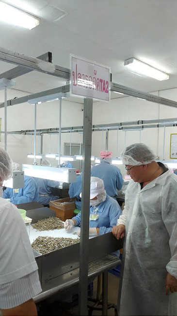 圖1：TJPO協助台灣食品加工與日合作開創新南向